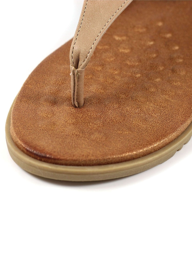 Marrón - Sandalias con tira para el dedo Gina de Lunar - Imagen 7 de 7 Marrón - Sandalias con tira para el dedo Gina de Lunar - Imagen 7 de 7