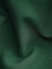 Forest Green Regular Fit Shirt - Image 7 of 7