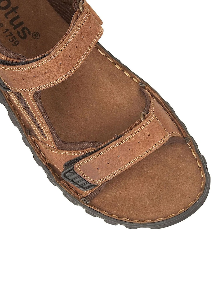 Brown Marrown - Sandalias de cuero con puntera abierta de Lotus - Imagen 4 de 4