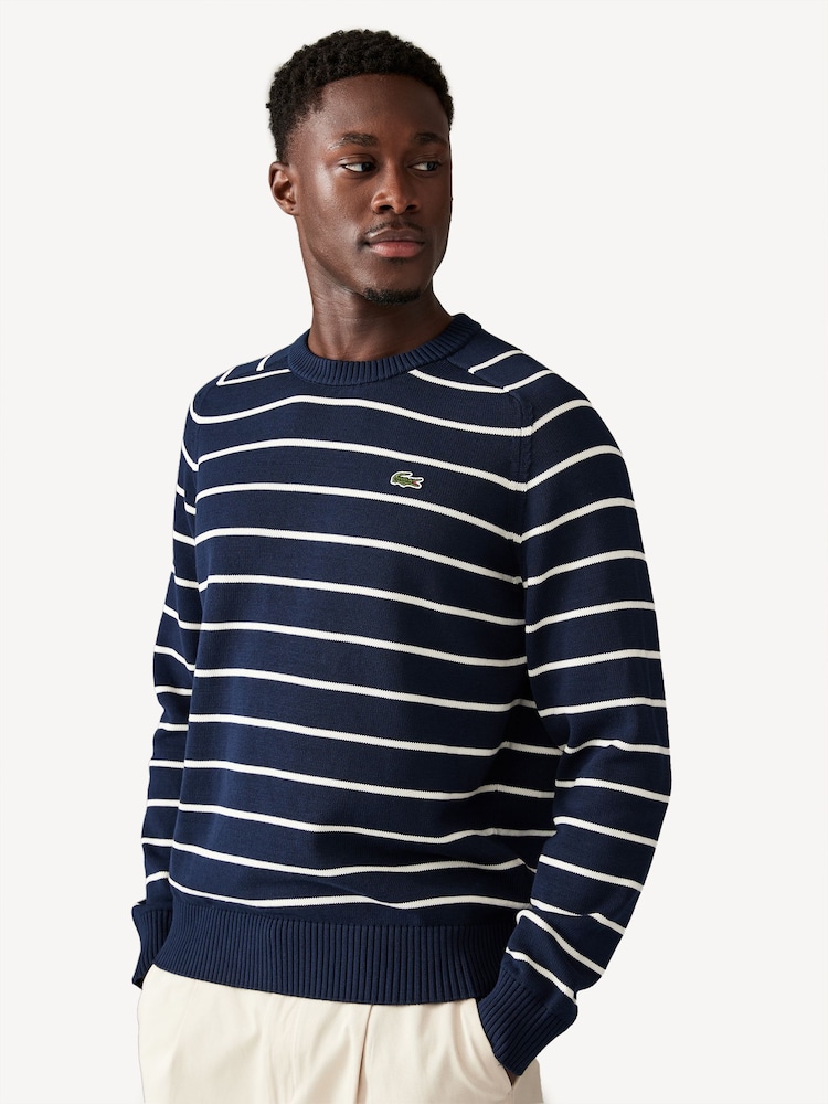 Lacoste Blue Stripe 100% Cotton Jumper - Image 1 of 4