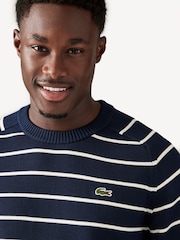 Lacoste Blue Stripe 100% Cotton Jumper - Image 3 of 4