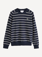 Lacoste Blue Stripe 100% Cotton Jumper - Image 4 of 4