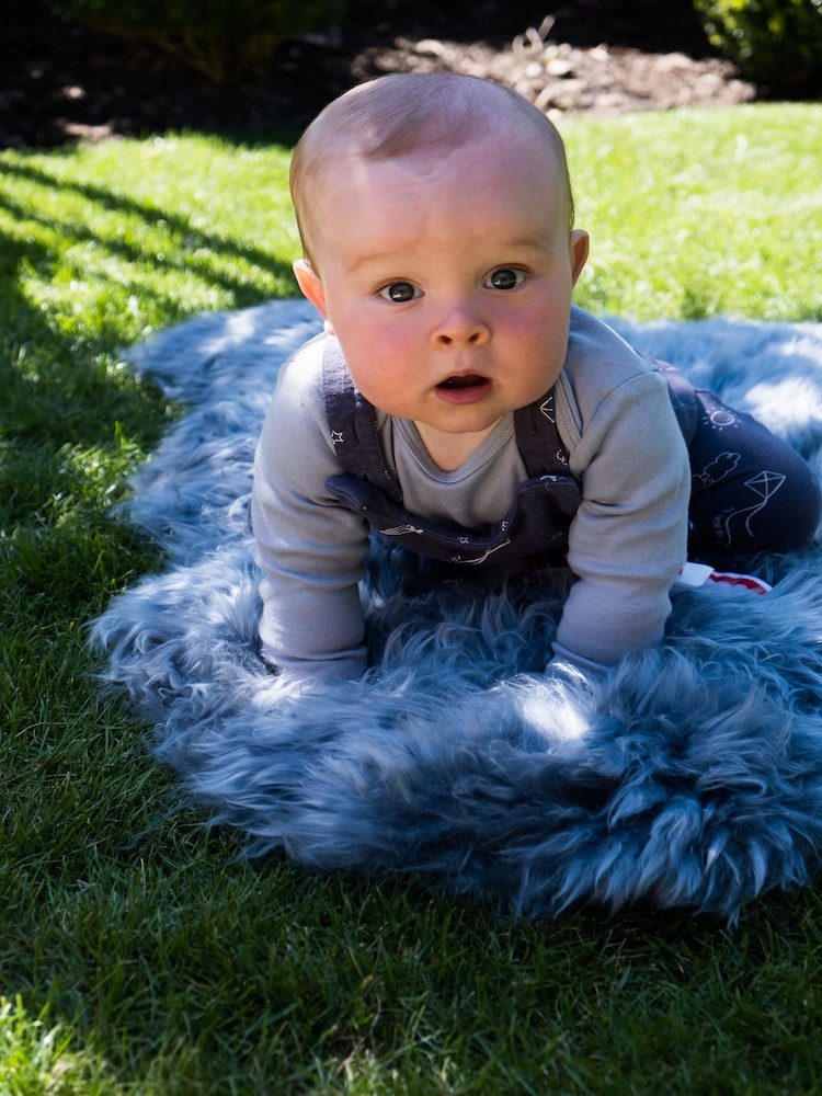Naturally Sheepskins Steel Grey Single Sheepskin Rug - Image 1 of 5