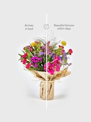 Bright Posy Fresh Flower Bouquet with Wrapped Glass Vase - Image 6 of 6