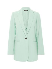 Soaked in Luxury Green Corinne Notch Lapel Regular Fit Blazer - Image 7 of 8