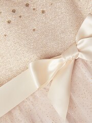 Monsoon Gold Baby Amber Roses Dress - Image 4 of 4