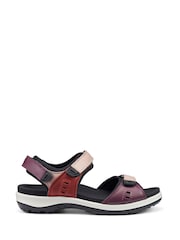 Rojo - Sandalias Hotter Walk II Touch Fastening Regular Fit - Imagen 1 de 4