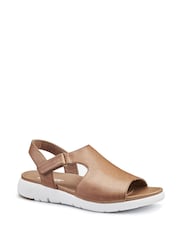 Hotter Brown Meander Touch Fastening Wide Fit Sandals - Image 2 of 4