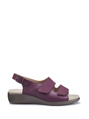 Hotter Purple Regular Fit Easy II Touch Fastening Buckle Sandals - Image 1 of 4