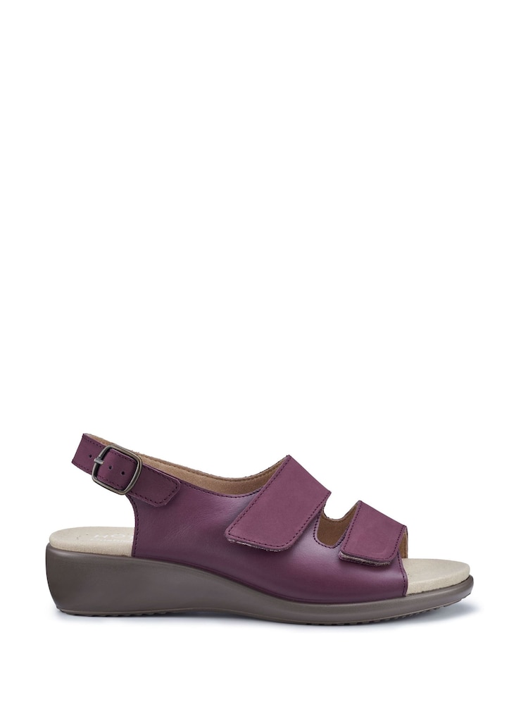 Hotter Purple Regular Fit Easy II Touch Fastening Buckle Sandals - Image 1 of 4