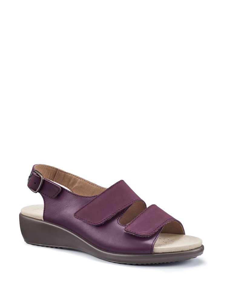 Hotter Purple Regular Fit Easy II Touch Fastening Buckle Sandals - Image 2 of 4