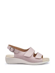 Hotter Pink Wide Fit Easy II Touch Fastening Buckle Sandals - Image 4 of 4