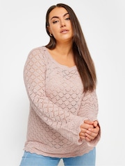 Yours Curve Pink Crochet Detail Jumper - Image 1 of 5