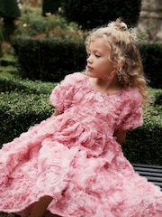 Pink Rose 3D Floral Print Occasion Dress (3-16yrs) - Image 1 of 8