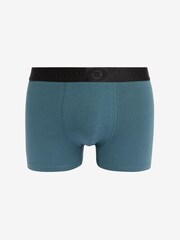 River Island Blue Multipack of 4 RI Trunks - Image 2 of 6