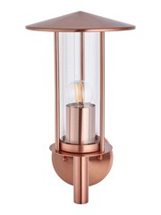 Pacific Grey Myosotis Copper Metal Chimney Outdoor Wall Light - Image 3 of 6