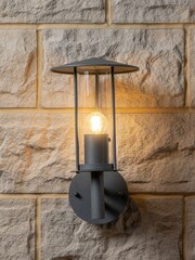 Pacific Dark Grey Myosotis Metal Chimney Outdoor Wall Light - Image 1 of 6