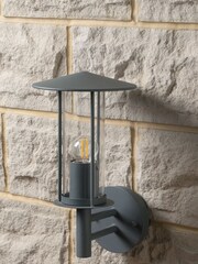 Pacific Dark Grey Myosotis Metal Chimney Outdoor Wall Light - Image 2 of 6