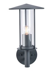 Pacific Dark Grey Myosotis Metal Chimney Outdoor Wall Light - Image 3 of 6
