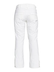 Roxy Snow Backyard Ski Trousers - Image 6 of 6