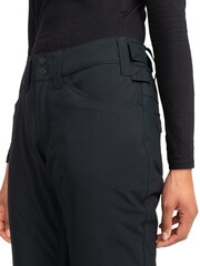 Roxy Snow Backyard Ski Trousers - Image 6 of 9