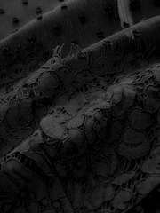 Black Lace Dobby Mix Short Sleeve Blouse - Image 7 of 7