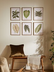 Set of 6 Green Botanical Framed Print Wall Art - Image 1 of 7
