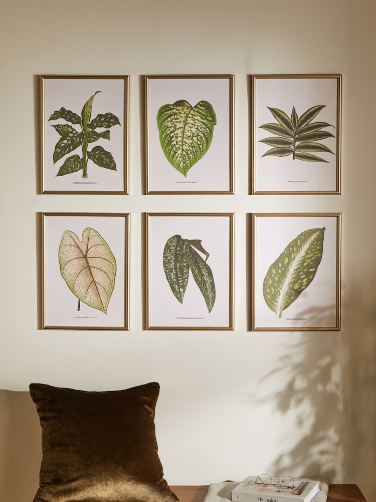 Set of 6 Green Botanical Framed Print Wall Art - Image 2 of 7