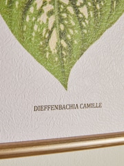 Set of 6 Green Botanical Framed Print Wall Art - Image 3 of 7