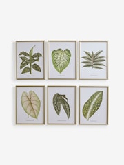 Set of 6 Green Botanical Framed Print Wall Art - Image 4 of 7