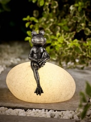 Pewter Frank the Frog Outdoor Solar Light - Image 1 of 5