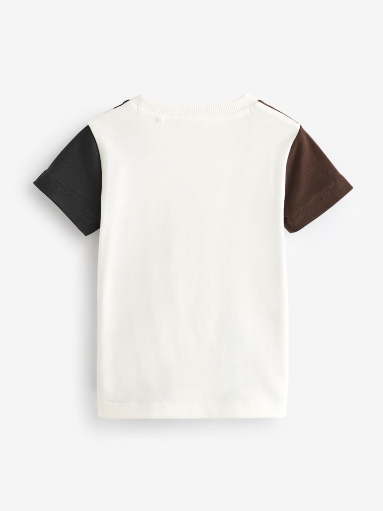 Grey/Brown Short Sleeve Colourblock T-Shirt (3mths-7yrs) - Image 2 of 3