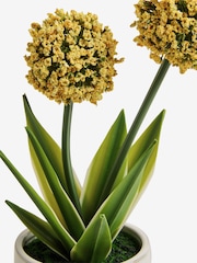 Yellow Artificial Allium Plant - Image 3 of 3