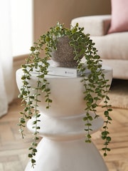 Green Artificial Trailing Plant - Image 1 of 3