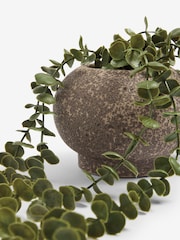 Green Artificial Trailing Plant - Image 3 of 3