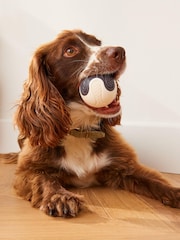 Christmas Pudding Ball In A Box Pet Toy - Image 1 of 3