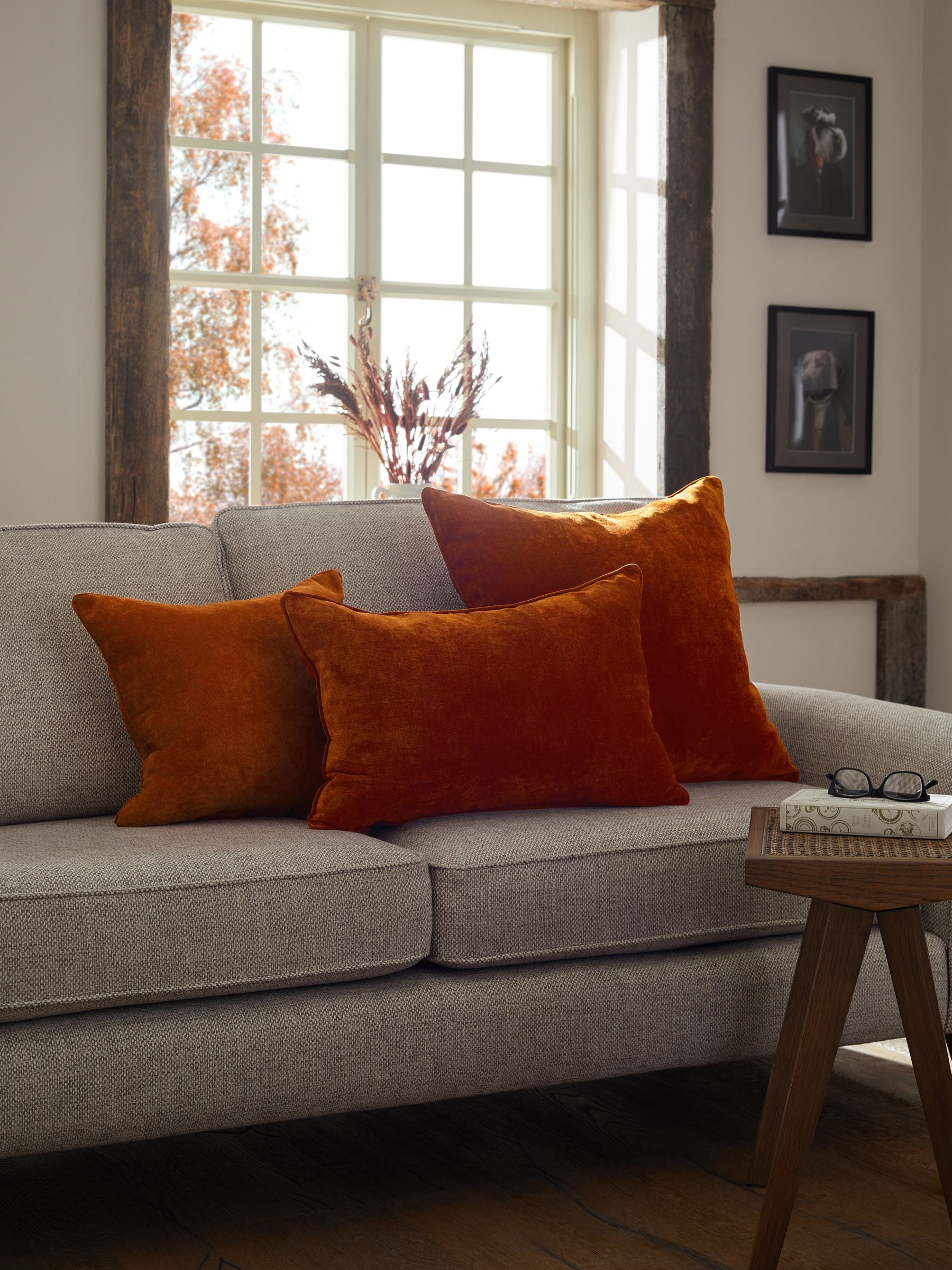 Buy Burnt Orange 40 x 59cm Soft Velour Cushion from Next USA