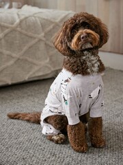 Jersey-Pyjama für Haustiere, Familienkollektion - Bild 1 von 1