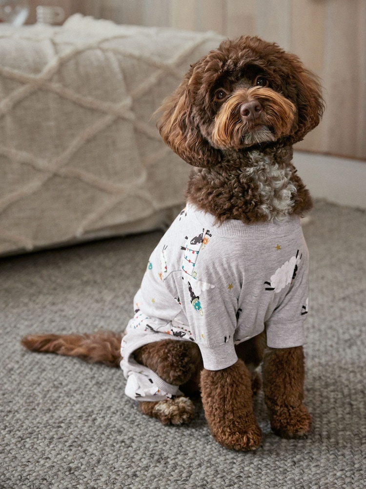 Jersey-Pyjama für Haustiere, Familienkollektion - Bild 1 von 1