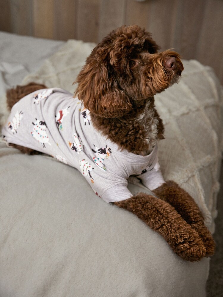 Jersey-Pyjama für Haustiere, Familienkollektion - Bild 2 von 6