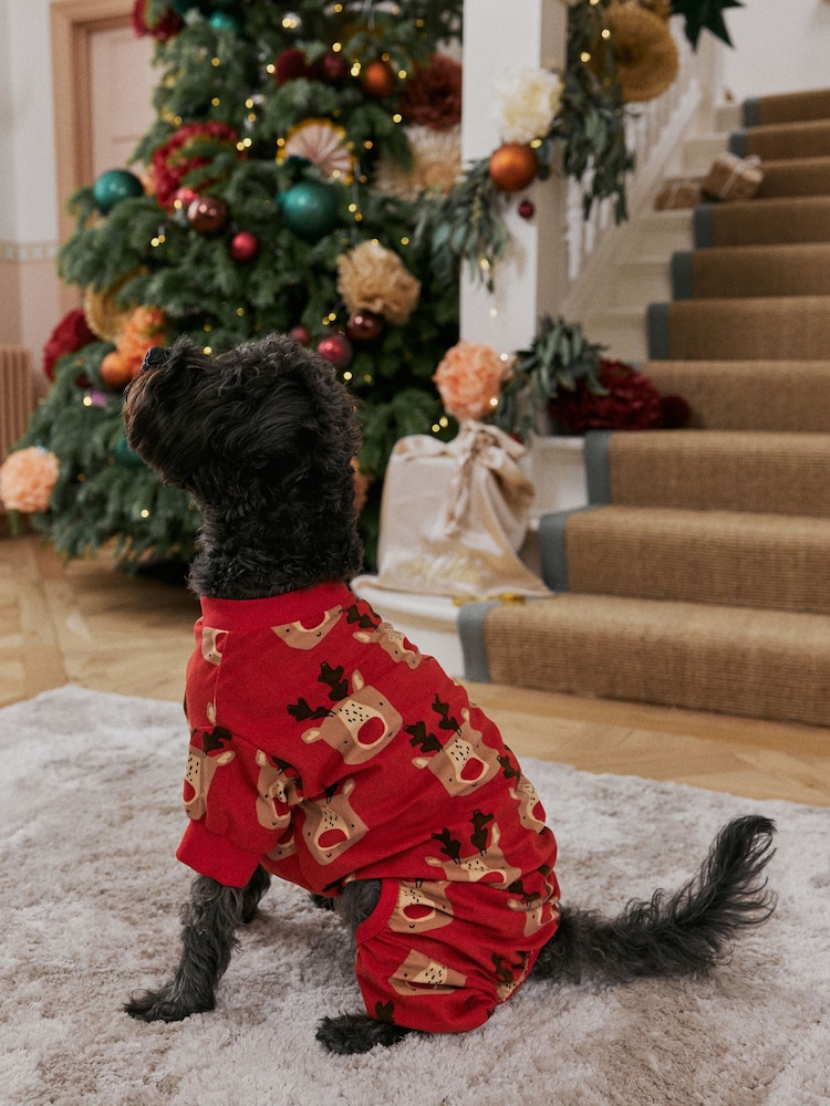 Red Reindeer Matching Family Pet Cosy Pyjamas - Image 1 of 6