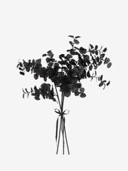 Set of 3 Black Artificial Eucalyptus Stems - Image 2 of 3
