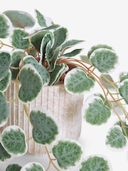 Green Artificial Trailing Eucalyptus In Marble Effect Pot - Image 2 of 3