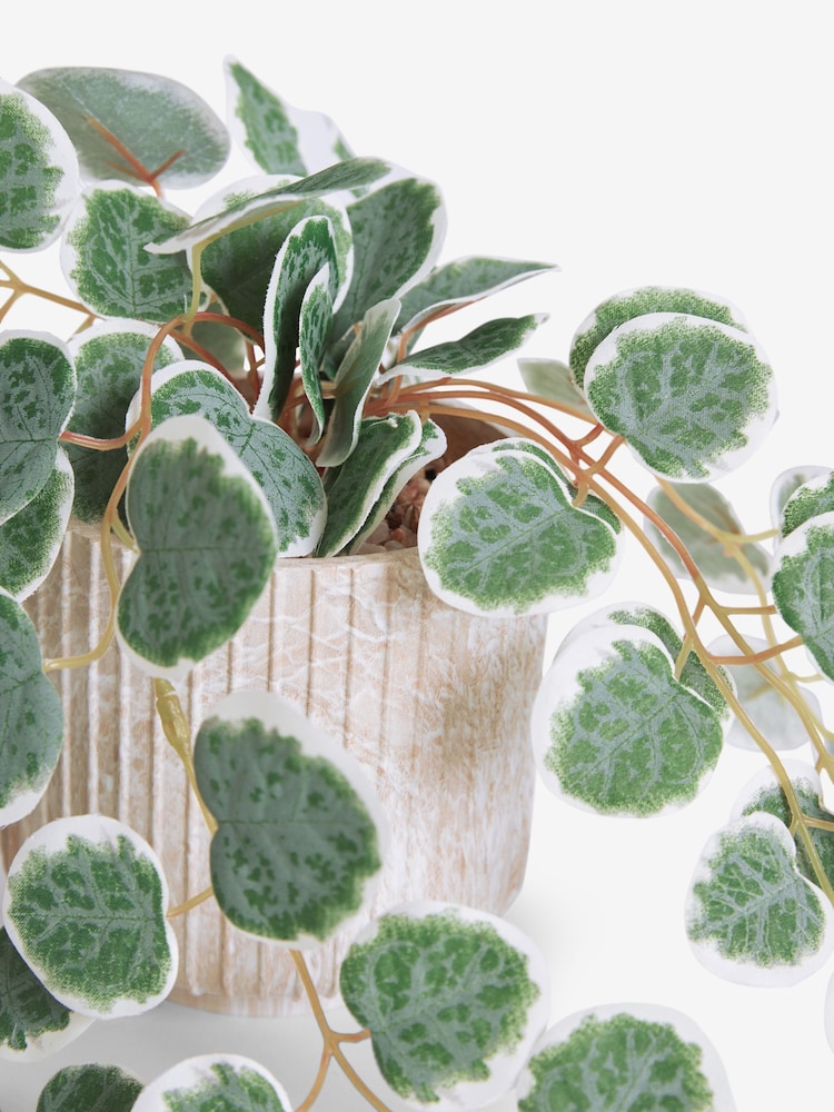 Green Artificial Trailing Eucalyptus In Marble Effect Pot - Image 2 of 3
