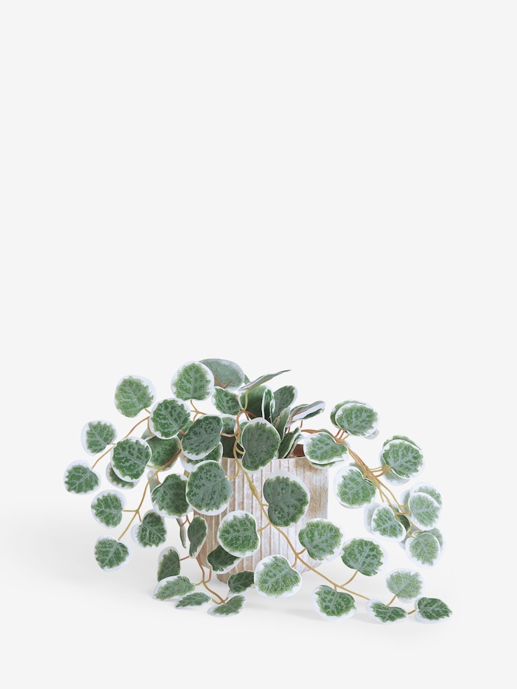 Green Artificial Trailing Eucalyptus In Marble Effect Pot - Image 3 of 3