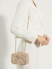 Dune London Nude Pewter Berkeley 30 Years Embellished Bag - Image 3 of 3