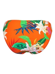 Pour Moi Orange Multi Brief Free Spirit Bikini Briefs - Image 5 of 5