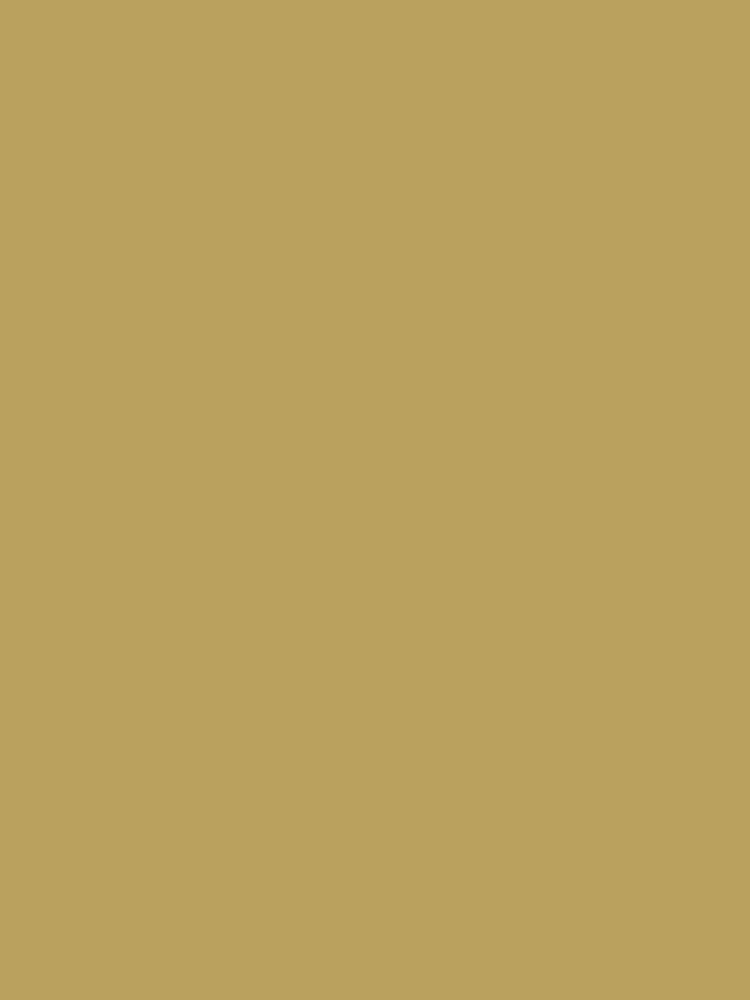 Joules Twitcher Multi Surface Matt Emulsion - Image 2 of 4