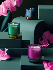 Teal Blue Set of 3 Dark Orchid and Patchouli Scented Candle - Image 3 of 4