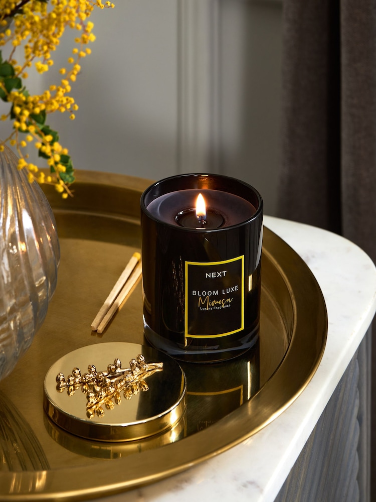 Black Bloom Luxe Mimosa Luxury Scented Candle - Image 1 of 2